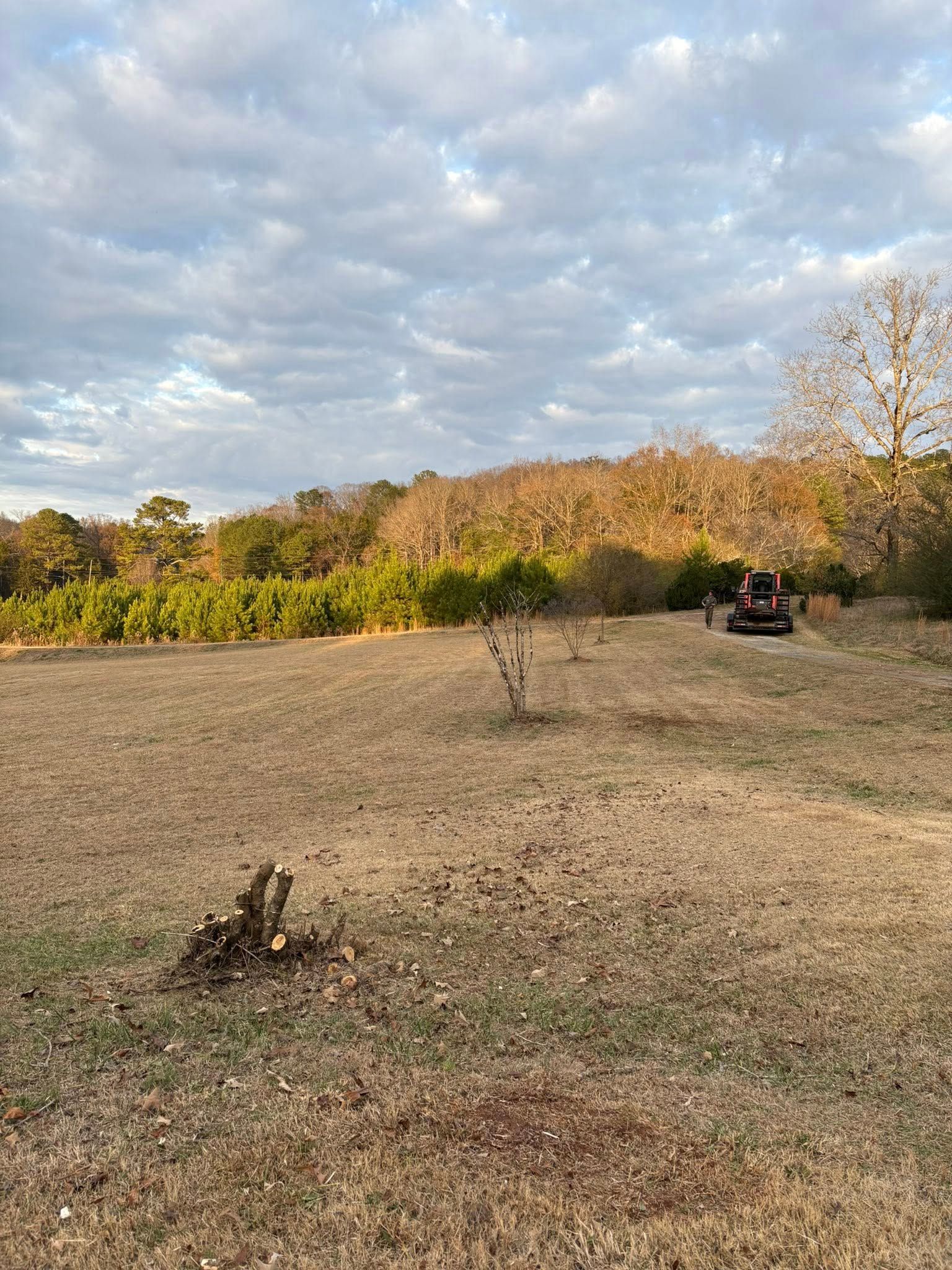 A tractor clears a field of dry grass and small saplings near a wooded hillside under a cloudy sky.
