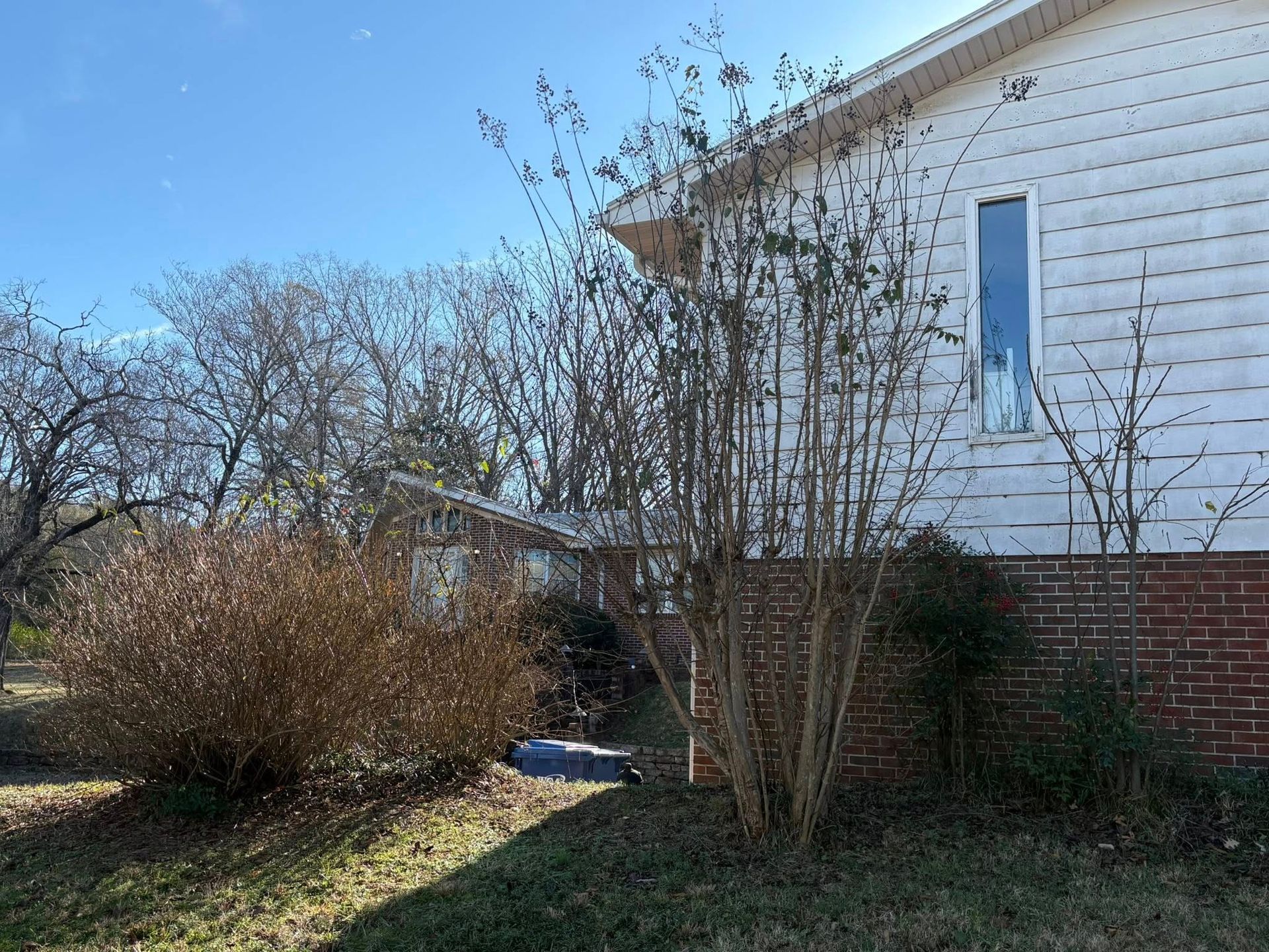A side view of a house with white siding and a red brick foundation, surrounded by bare trees and bushes on a sunny day.