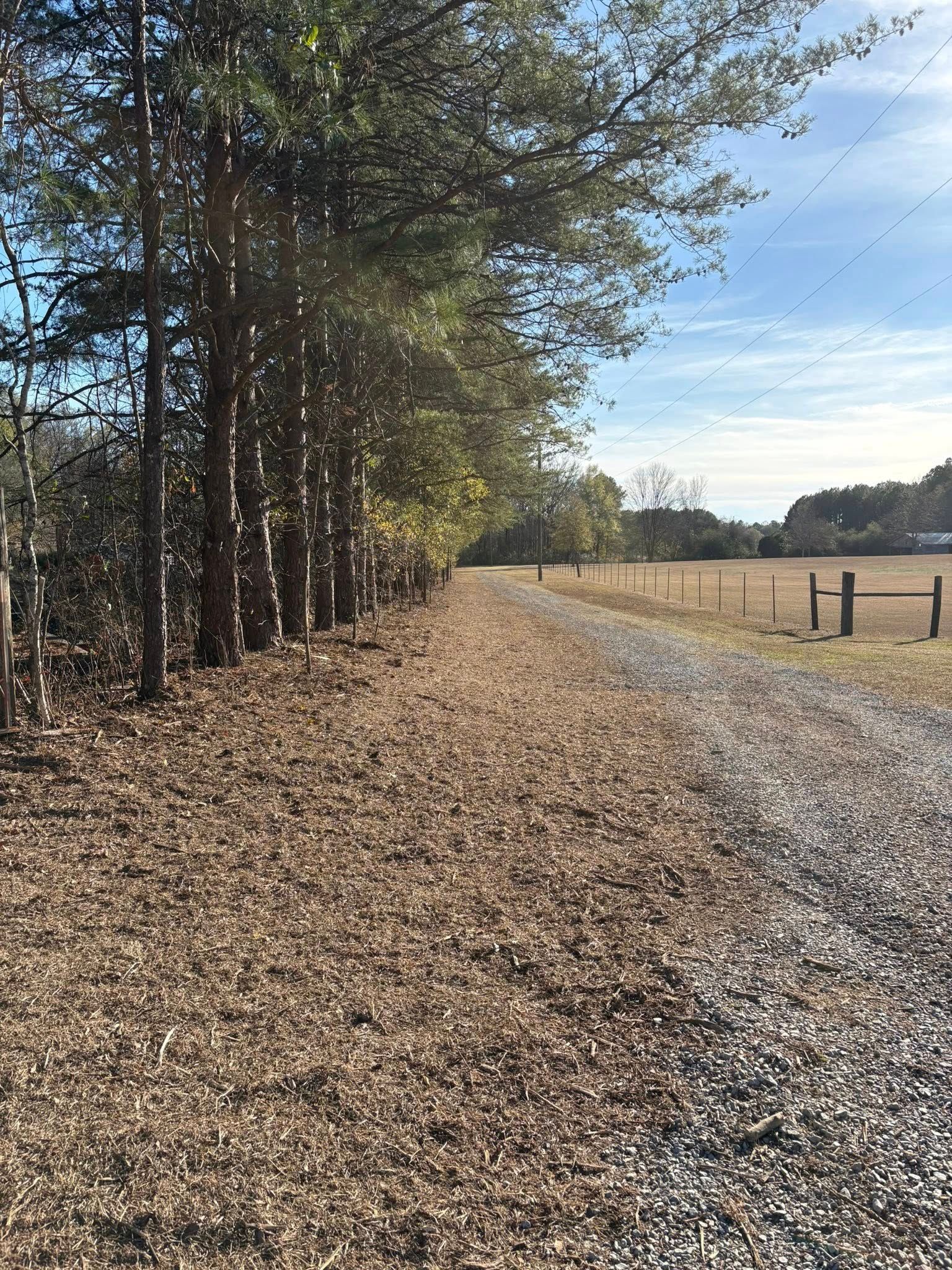 A gravel path runs beside a row of trees, with a large, dry field to the right under a bright blue sky.