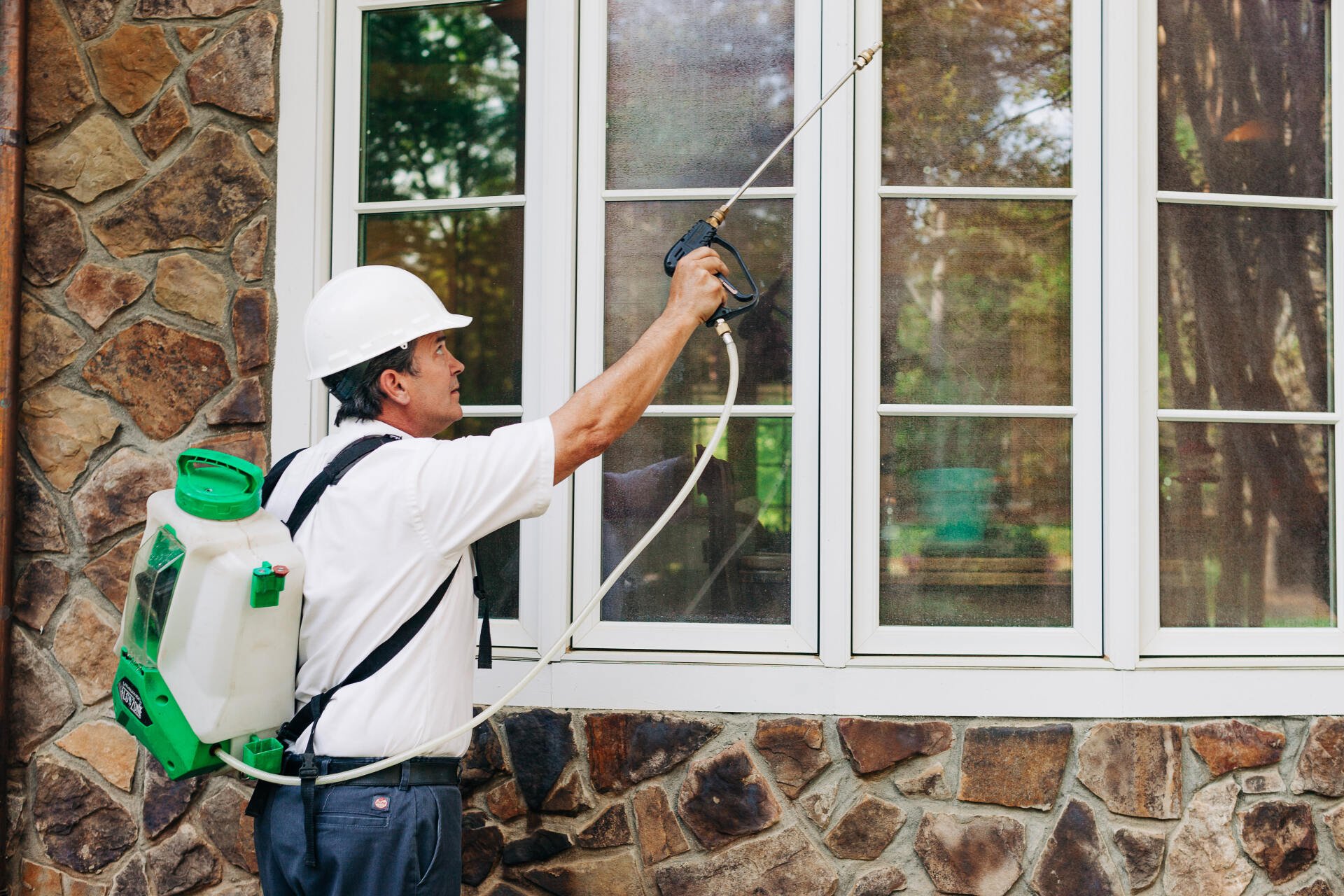 Pest Control Services Athens, GA Lavender Pest Control