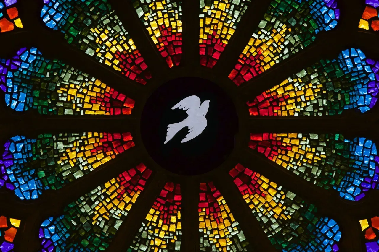 Rose window with a dove in the center.