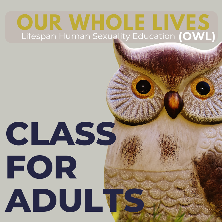 Our Whole Lives OWL Class for Adults