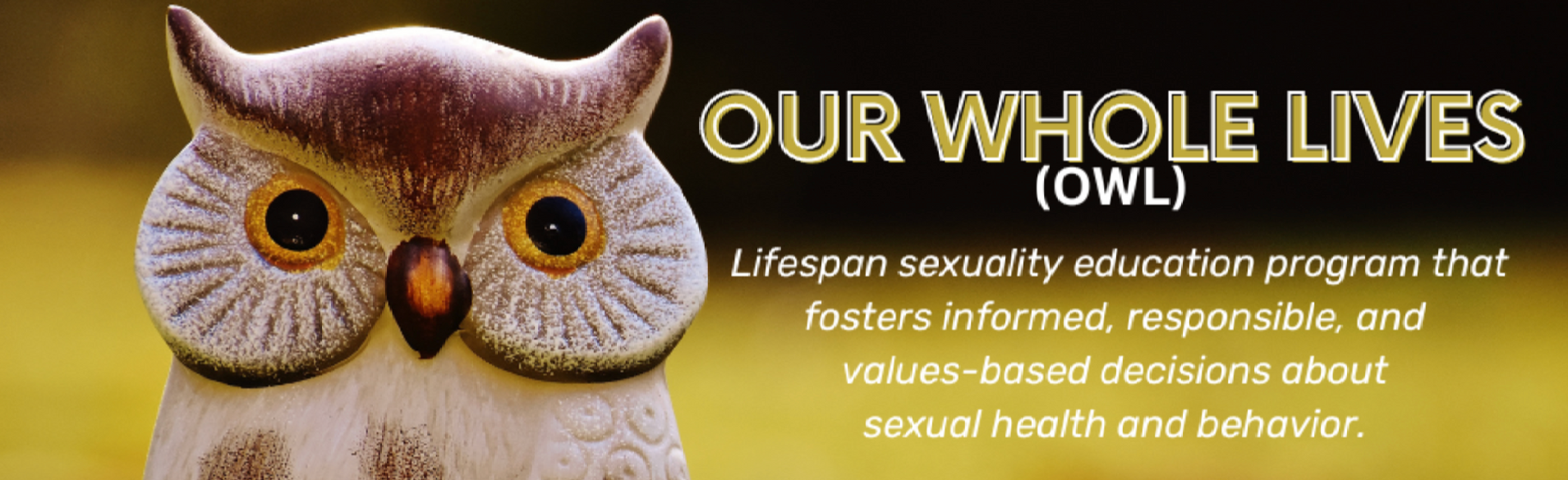 Banner with Our Whole Lives and it's description on it with an owl.