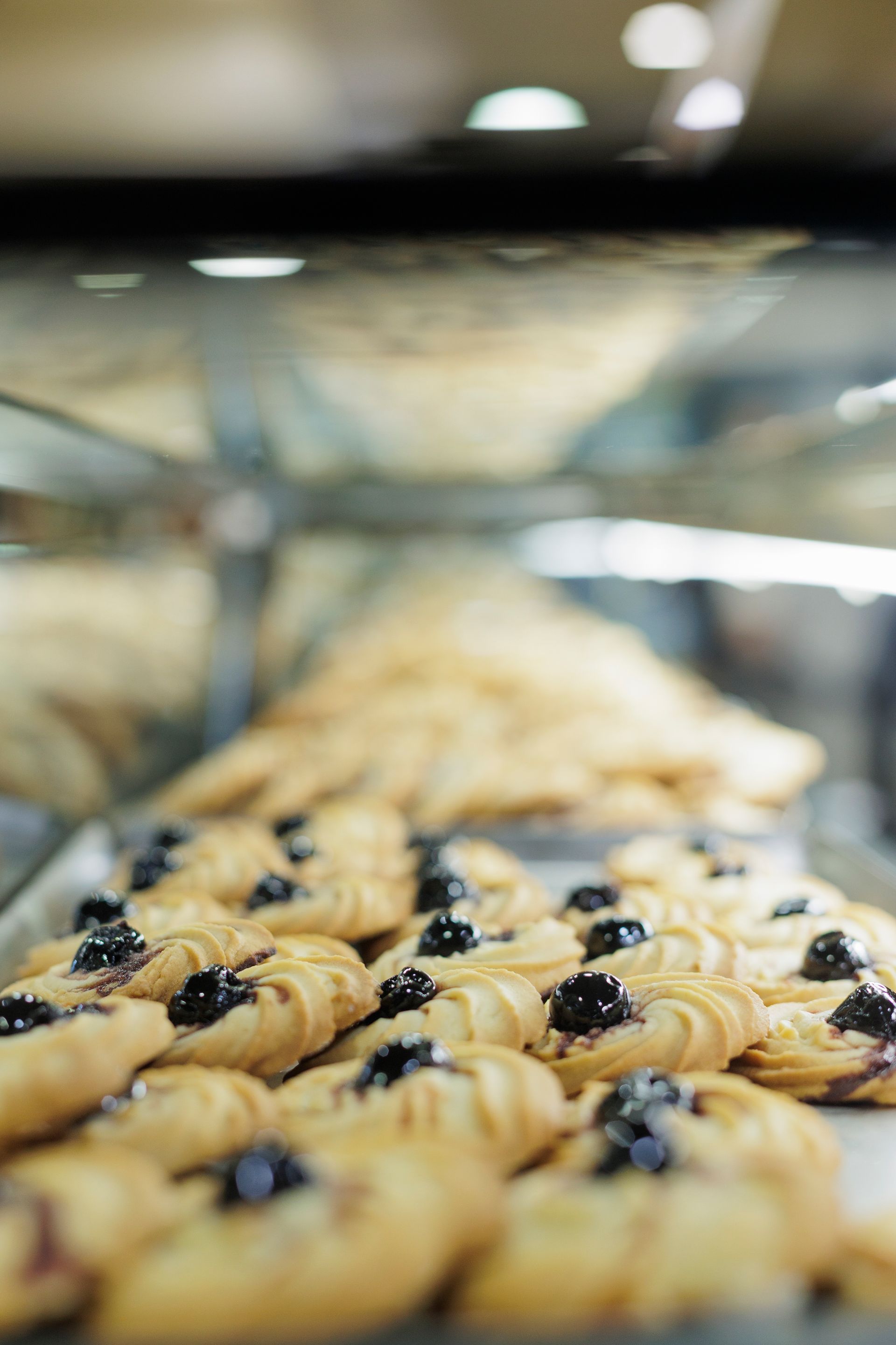 File di biscotti al burro dorati con ripieno di marmellata scura, disposti su un vassoio all'interno di una vetrina di una pasticceria.