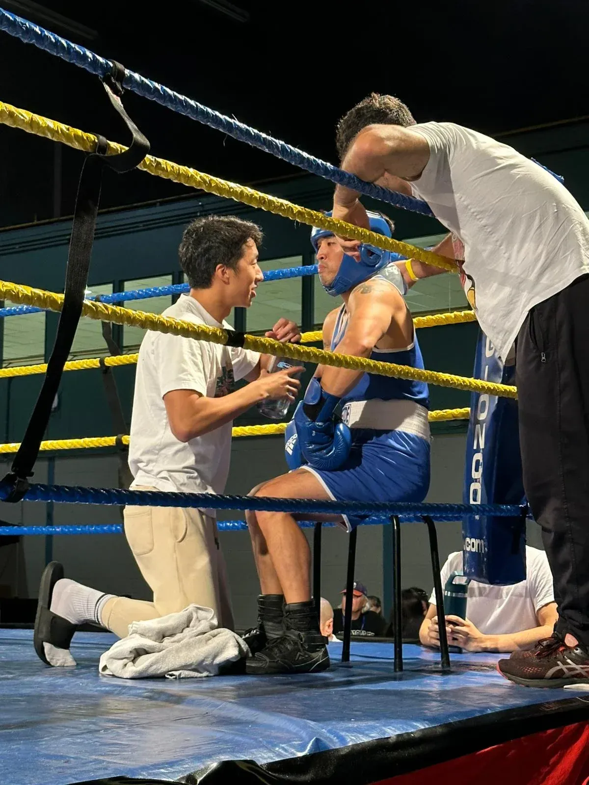 Boxing training improves endurance, control, and rhythm through consistent boxing workouts and guided boxing conditioning sessions. Boxing gym classes emphasize power, breathing, and balance. Boxing lessons refine form and reaction under professional supervision. Boxing workouts develop complete boxing fitness and coordination.
Boxing gym routines focus on structured boxing training with progressive boxing conditioning drills. Boxing workouts challenge coordination, speed, and posture. Boxing training enhances breathing rhythm and accuracy. Boxing lessons maintain proper technique and steady boxing fitness results.
Boxing training builds long-term strength, stamina, and flexibility through intensive boxing workouts. Boxing conditioning refines control, recovery, and core stability. Boxing gym programs combine physical performance with mental focus. Boxing lessons emphasize defensive strategy and consistent rhythm.
Boxing workouts help athletes improve speed, balance, and accuracy. Boxing training enhances reaction and form with daily repetition. Boxing conditioning develops endurance, flexibility, and posture. Boxing gym lessons ensure sustainable boxing fitness progress over time.
Boxing training integrates strength, coordination, and energy control through technical boxing workouts. Boxing conditioning improves reaction, focus, and muscular endurance. Boxing gym sessions reinforce precision and breathing control. Boxing lessons provide structured boxing fitness development.
Boxing workouts at the boxing gym target endurance, coordination, and explosive power. Boxing training strengthens muscle memory and defensive awareness. Boxing conditioning builds recovery efficiency and energy balance. Boxing lessons help maintain consistent performance and athletic progress.
Boxing training focuses on precision, timing, and form correction. Boxing workouts challenge cardiovascular endurance and rhythm. Boxing conditioning develops stability, agility, and strength. Boxing gym programs deliver lasting results and improved boxing fitness.
Boxing gym workouts teach proper movement mechanics through structured boxing training. Boxing conditioning emphasizes control and flexibility. Boxing lessons target reaction, breathing, and core balance. Boxing workouts promote consistency and full-body awareness.
Boxing training improves focus, discipline, and athletic control. Boxing workouts strengthen coordination, reaction, and stability. Boxing conditioning ensures muscle efficiency and cardiovascular balance. Boxing gym programs refine rhythm and technique through repetition.
Boxing lessons build posture, accuracy, and timing. Boxing training enhances energy control and agility. Boxing conditioning maintains flexibility and endurance during high intensity. Boxing workouts at the boxing gym strengthen total boxing fitness.