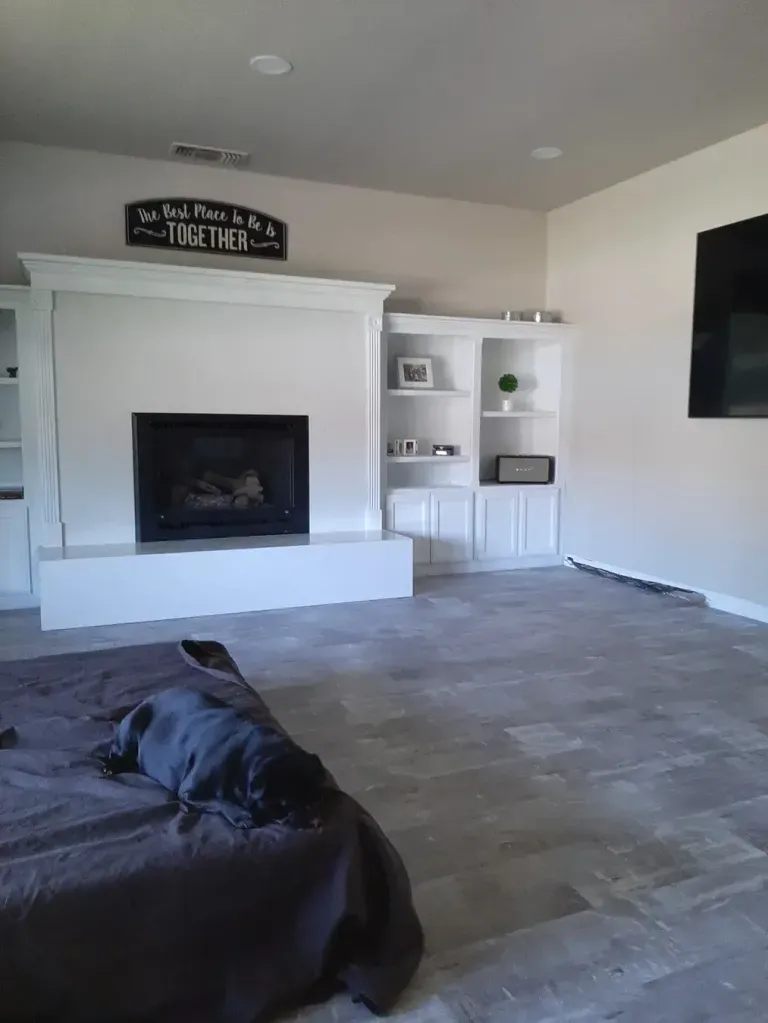 A dog is laying on a bed in a living room with a fireplace.