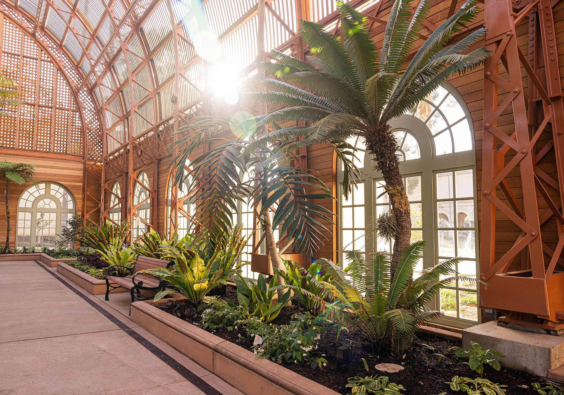 The sun is shining through the windows of a greenhouse filled with lots of plants.