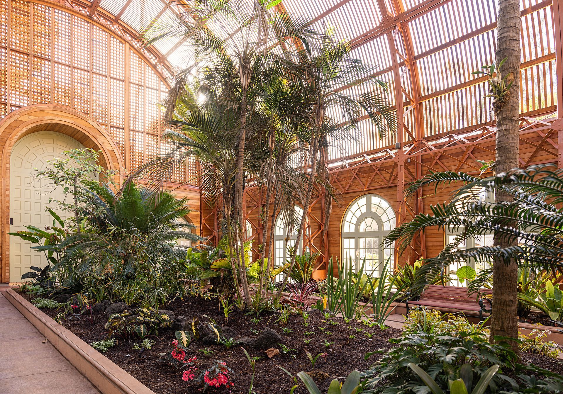 A large greenhouse filled with lots of plants and trees.