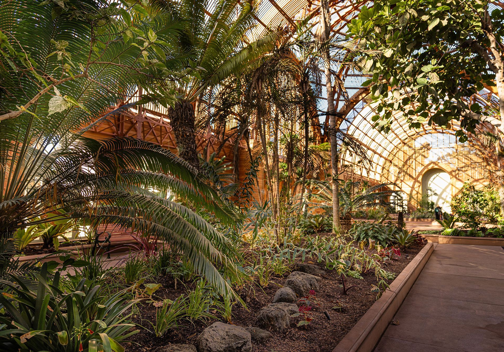 A greenhouse filled with lots of plants and trees