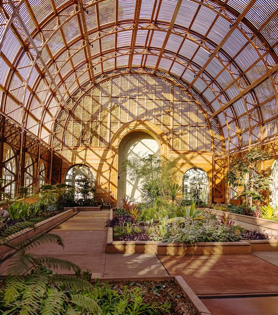 An arched greenhouse interior with patterned lattice framing, lush greenery, and warm, dappled sunlight on the floor.