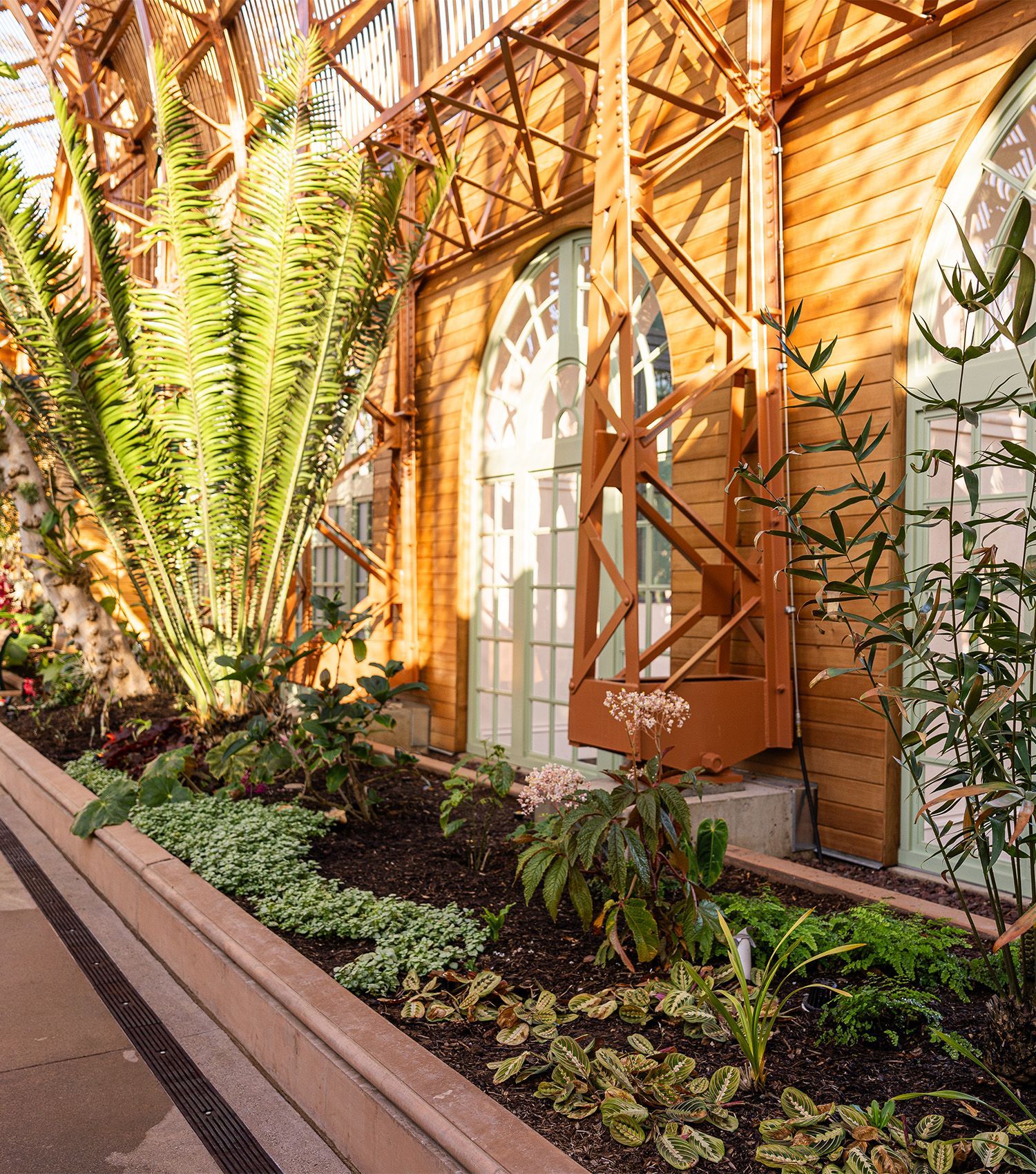 A wooden building with a staircase and lots of plants in front of it