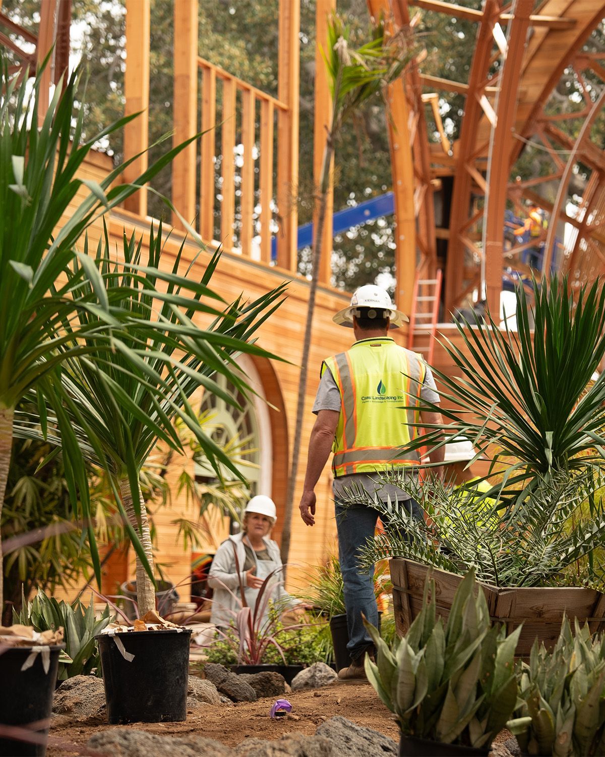 A man in a yellow vest is walking through a garden