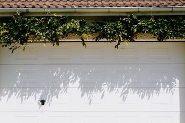 White garage door with ivy-covered roof edge casting shadows