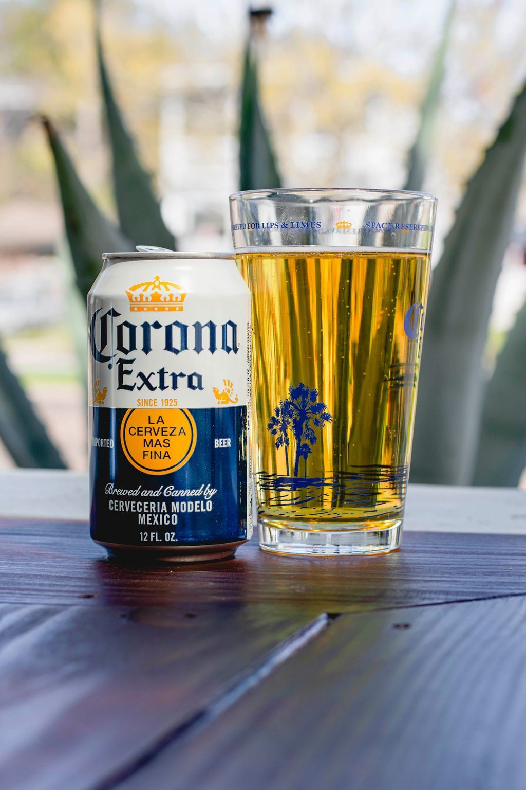 A can of corona extra beer and a glass of beer on a wooden table.