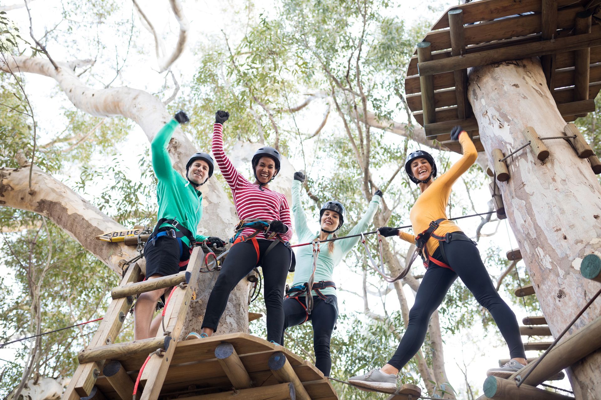 Group on ropes course in trees, smiling and posing on wooden platforms with arms raised