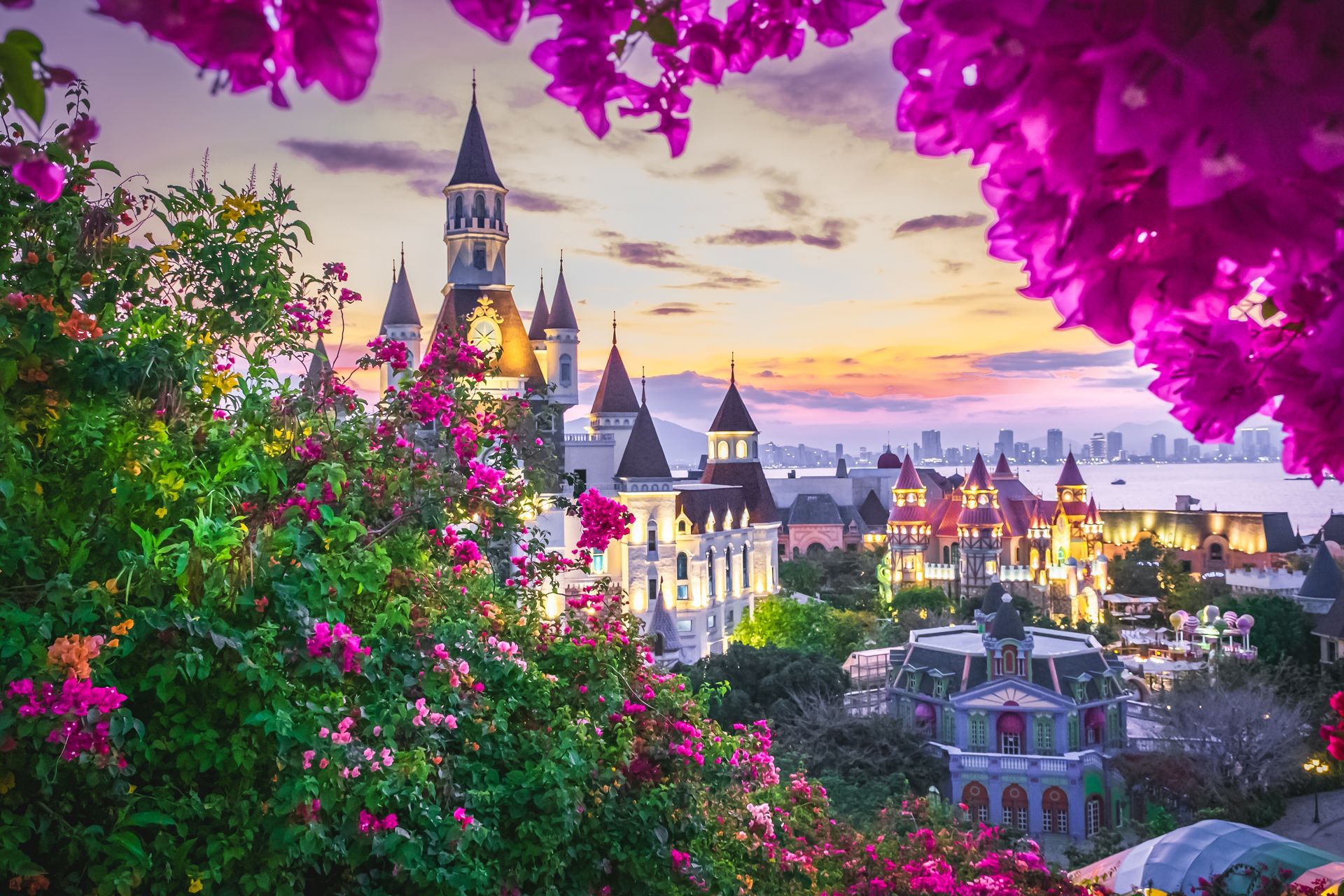 Events & Attractions