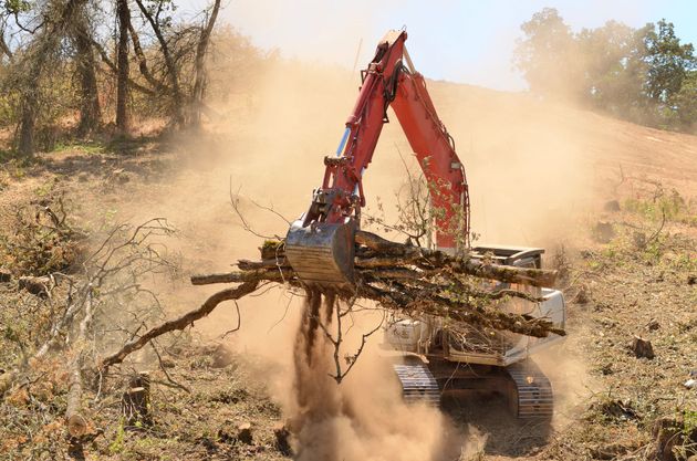 An orange hydraulic excavator with a grapple attachment moves brush and debris in a dusty, cleared field.