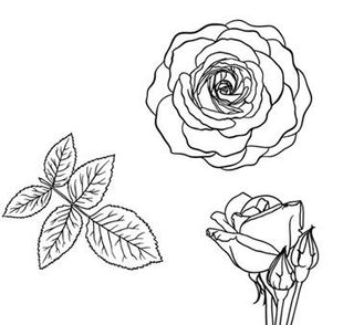 ARCADIA TATTOO & PIERCING