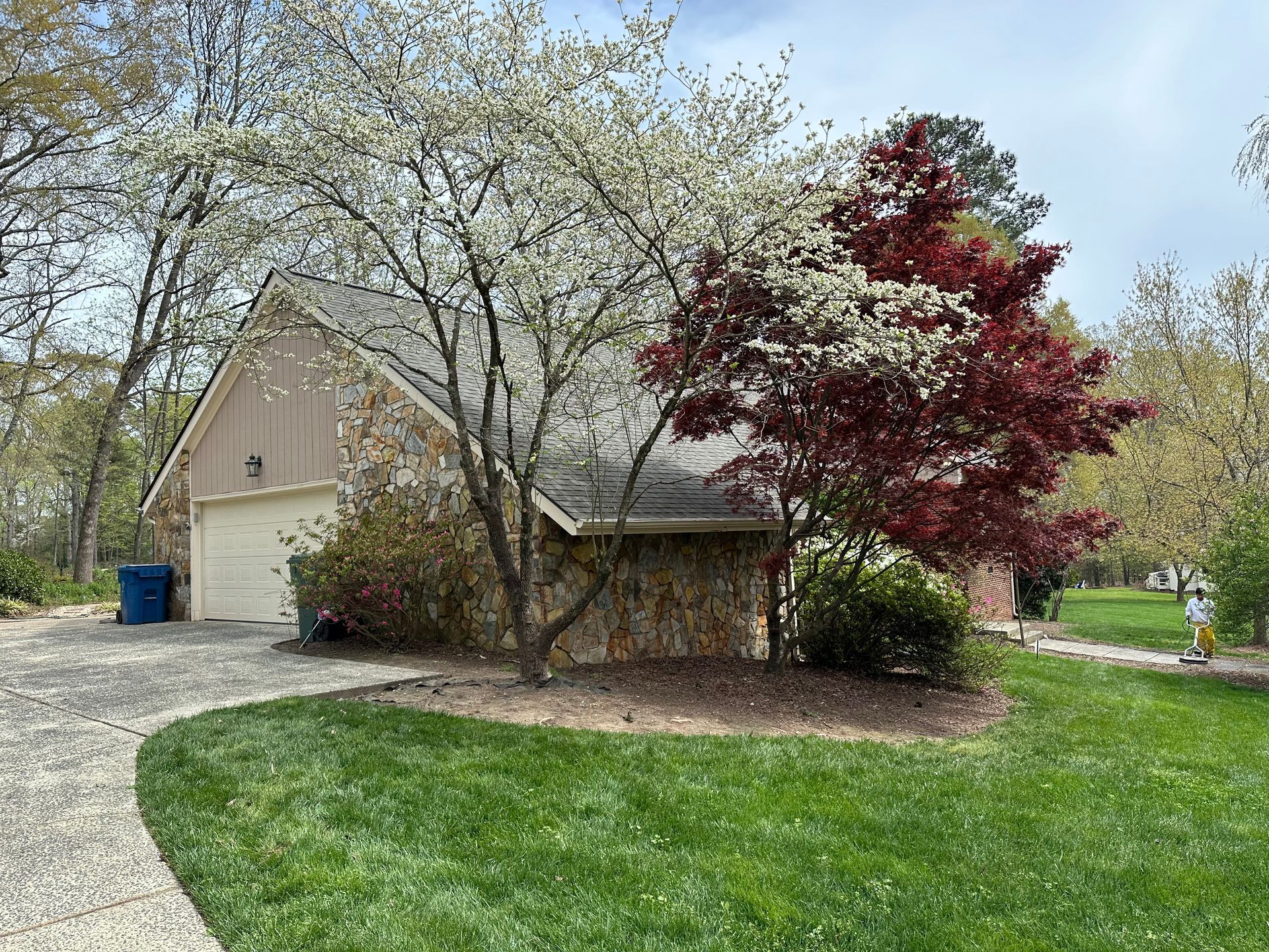 Suburban house with stone garage, green lawn, and blooming trees in spring