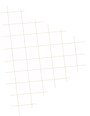 Diamond-shaped grid pattern, formed by light-colored intersecting lines against a white background.
