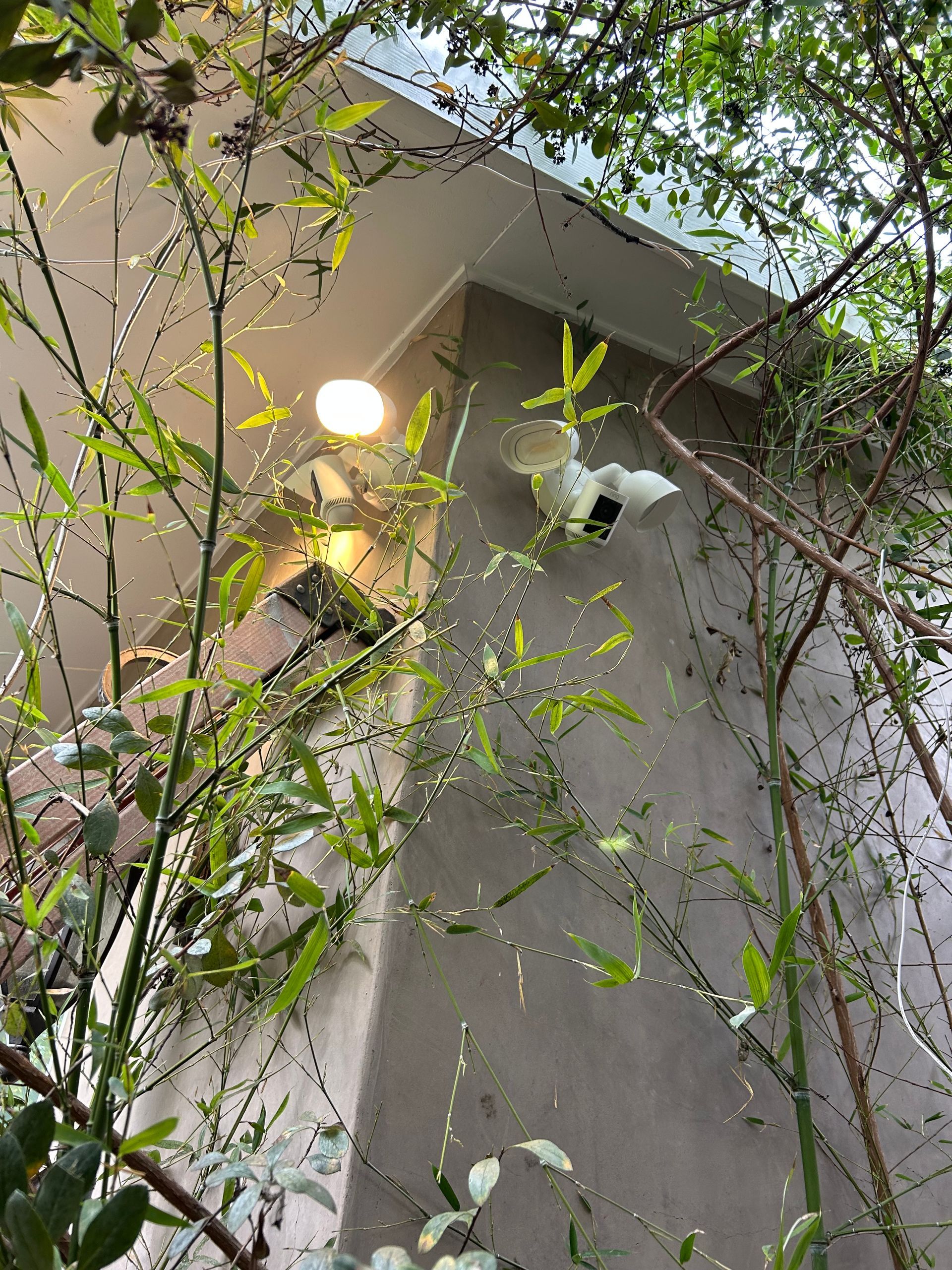 Outdoor wall with two lit security lights, partly obscured by tree branches and leaves