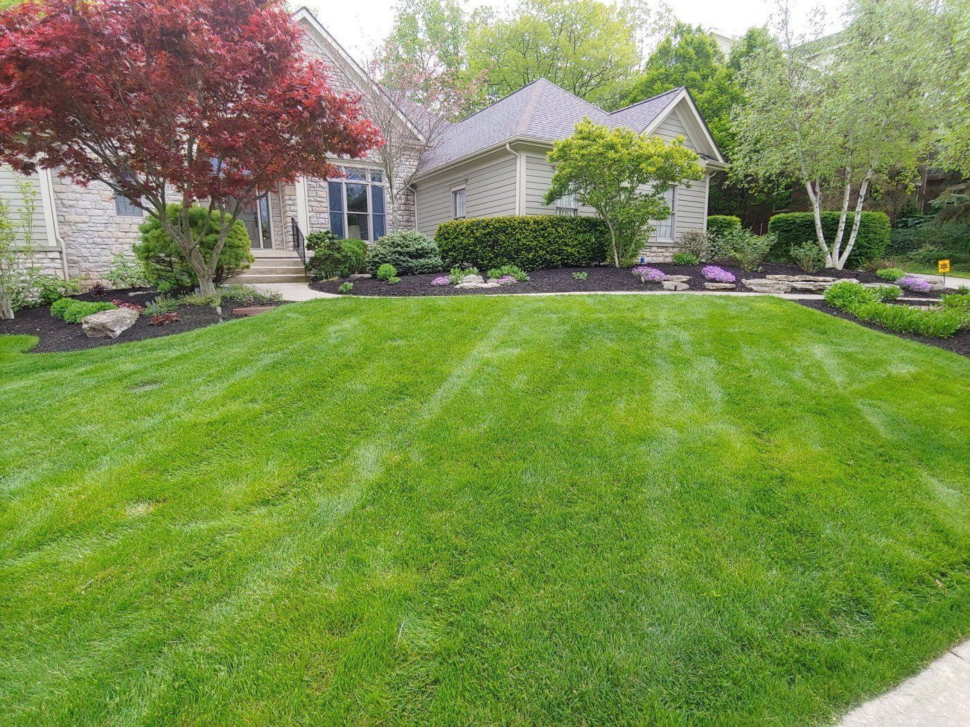 Backyard Landscape - Columbus, OH - Christal Clean Landscapes