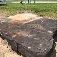 Large dark stone slab in a grassy outdoor area, with a light-colored patch on top.