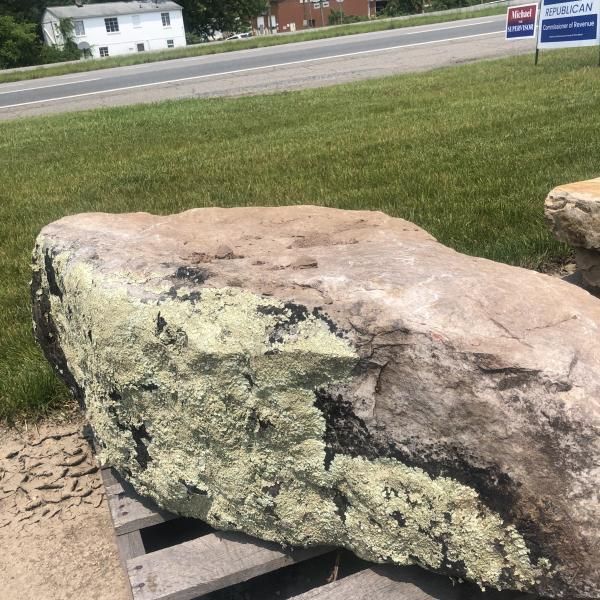 Large pale boulder covered in green lichen, displayed outdoors near a roadside sign.