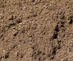 Close-up of brown soil with small pebbles and uneven texture