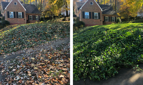 Side-by-side yard before and after: leaf-covered slope changed to a neatly trimmed green hillside.