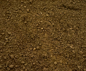 Close-up of brown soil or dirt with small pebbles and rough texture
