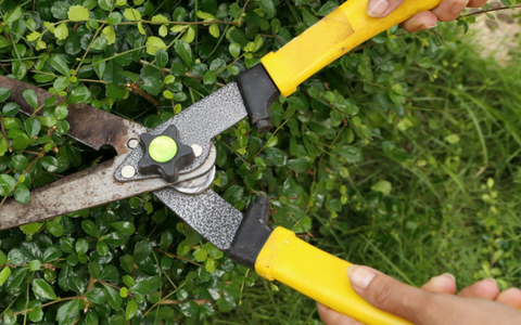 Hands using yellow-handled pruning shears to trim a green hedge.