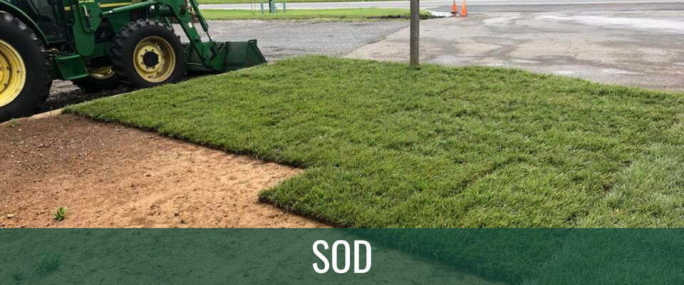 Fresh sod laid beside a tractor on a roadside lawn repair site