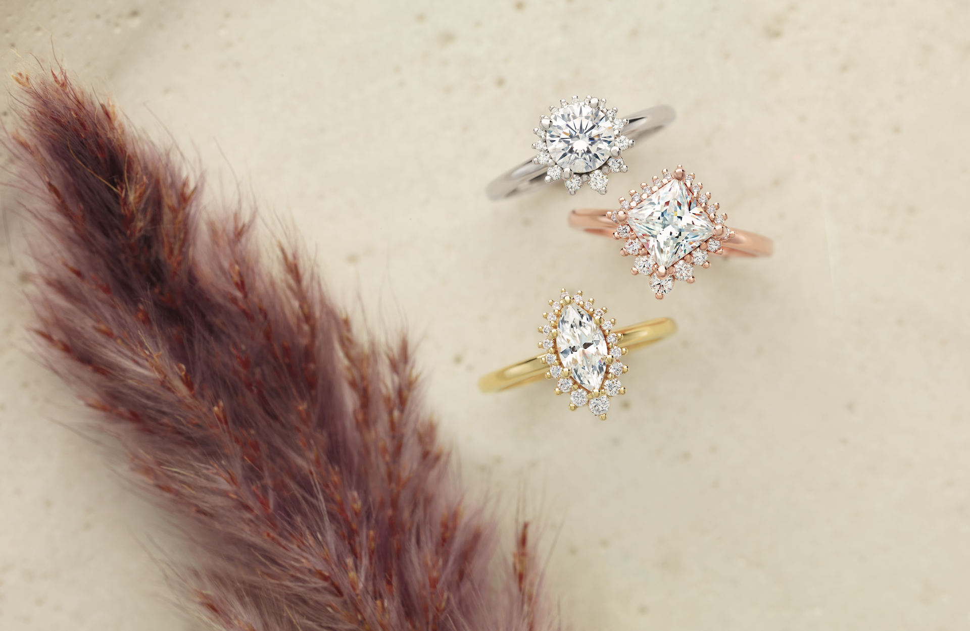 Three rings are sitting on a table next to a plant.