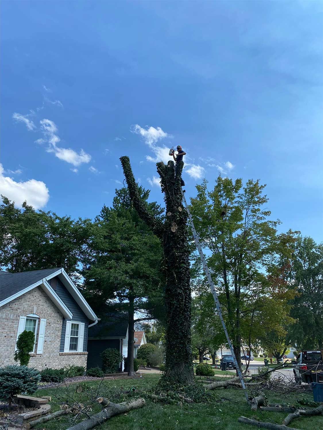 Tree Removal Service — Warrenton, MO — L & R Tree Removal and Landscaping LLC