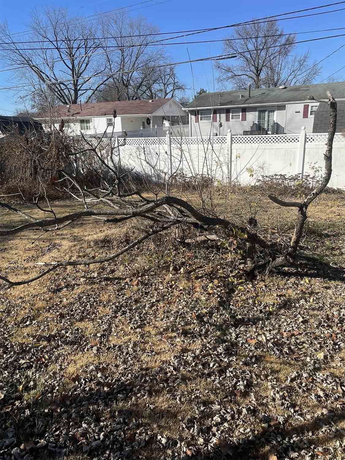 Broken Branch on Ground — Warrenton, MO — L & R Tree Removal and Landscaping LLC