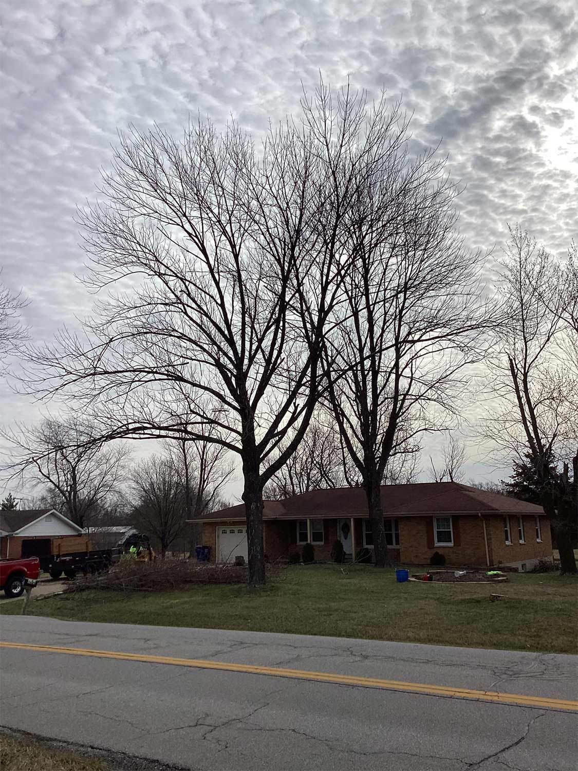 Collecting a Tree Debris — Warrenton, MO — L & R Tree Removal and Landscaping LLC