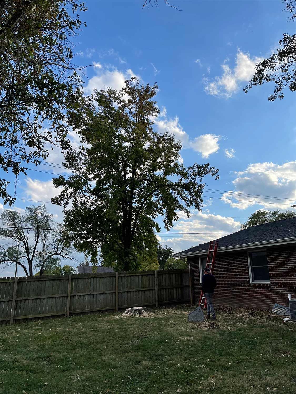 Cleaning the Debris Around the Tree Stump — Warrenton, MO — L & R Tree Removal and Landscaping LLC