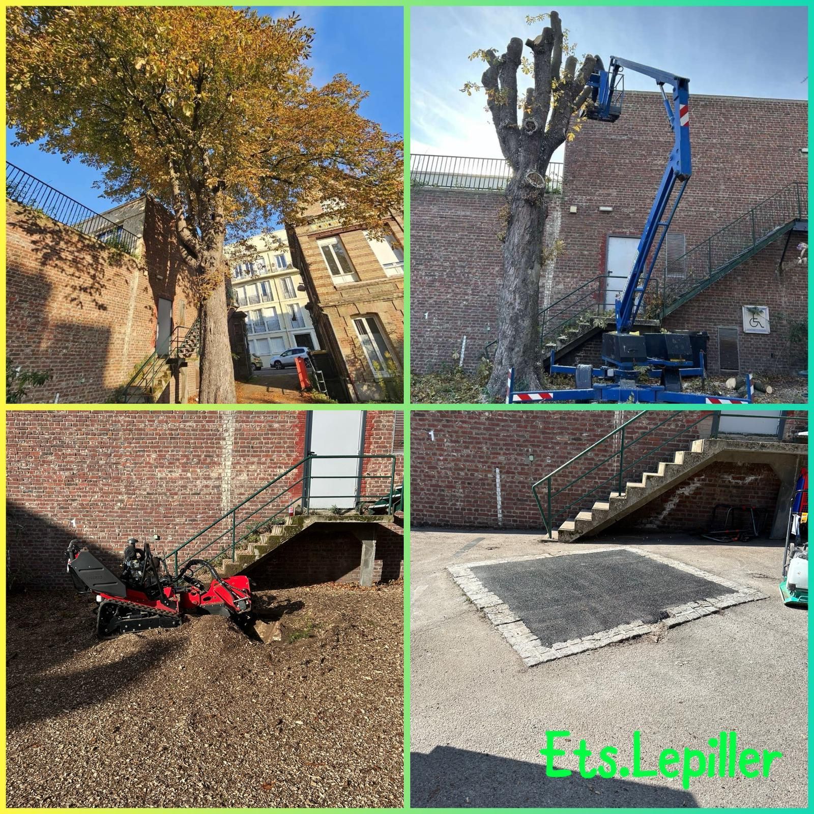 Un collage illustrant les étapes de l'abattage d'un arbre : de l'arbre entier à l'élagage, au dessouchage 