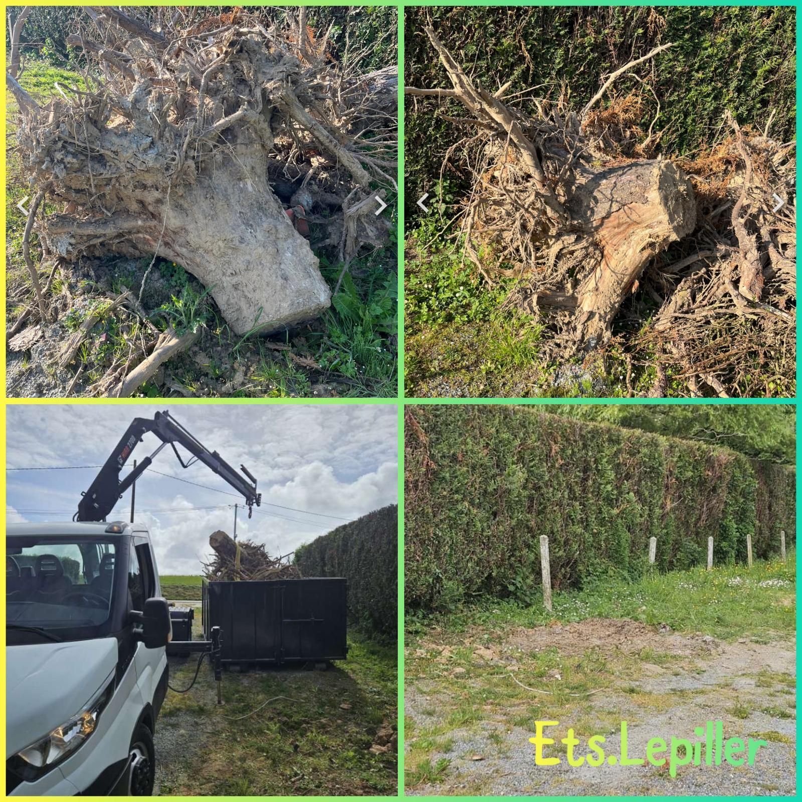 Un collage montrant des souches d'arbres enlevées et emportées par un camion équipé d'une grue.