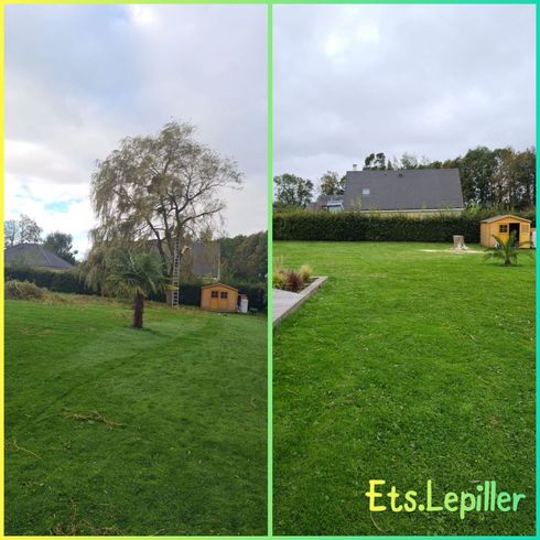 Comparaison avant-après d'un jardin, montrant un grand arbre enlevé de la pelouse, avec la mention « Ets.Lepiller »