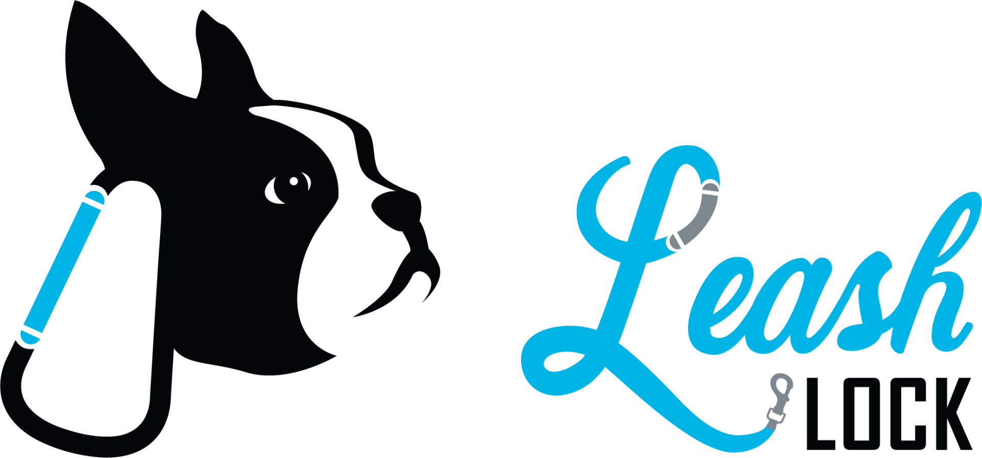 A logo for a branding project for Leash Lock, a pet product company