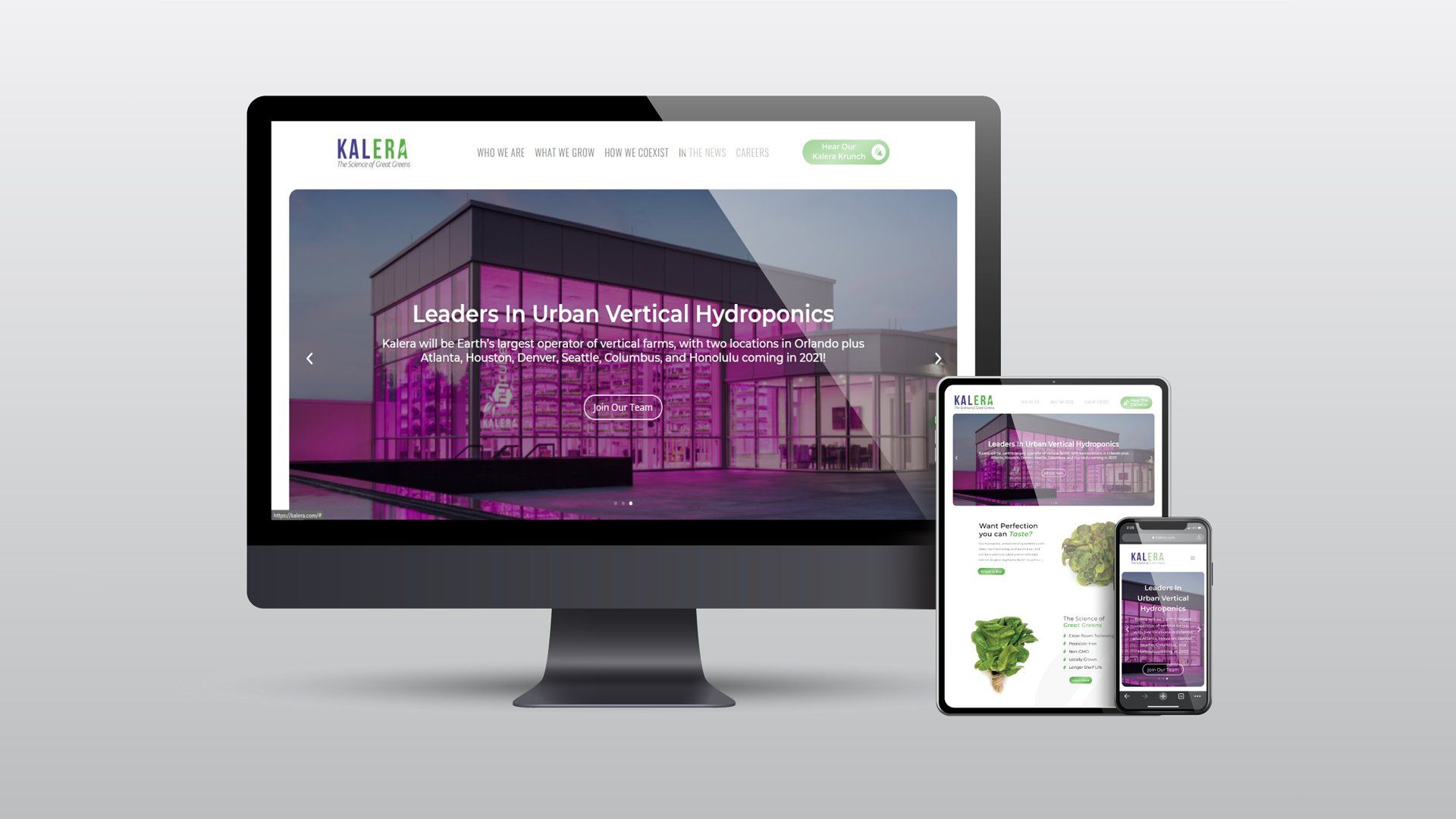 Brand Design Development Orlando Florida