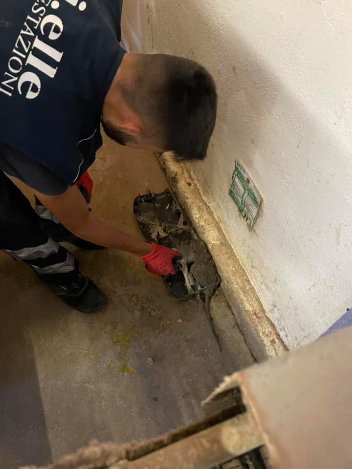 Derattizzazione