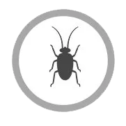 Icona DEBLATTIZAZIONE