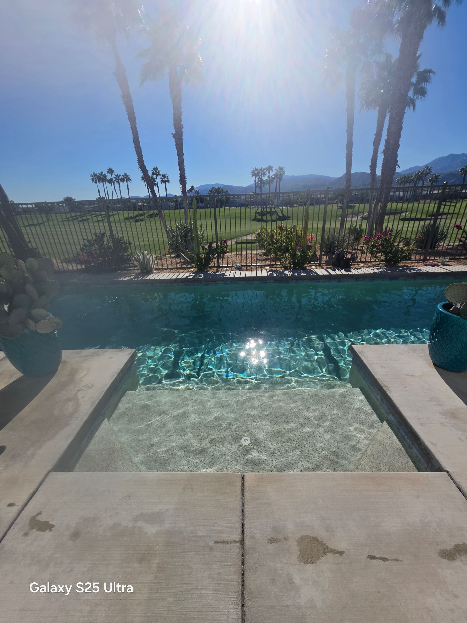 Swimming pool with clear water, sun reflecting, palm trees in background, sunny day.