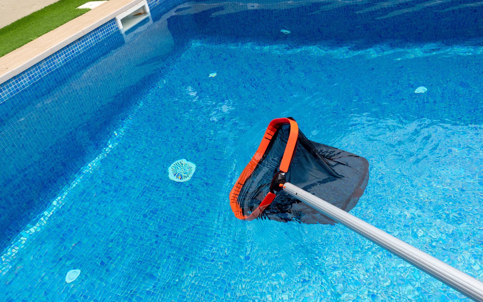 Pool maintenance net collects debris near the white drain edge.