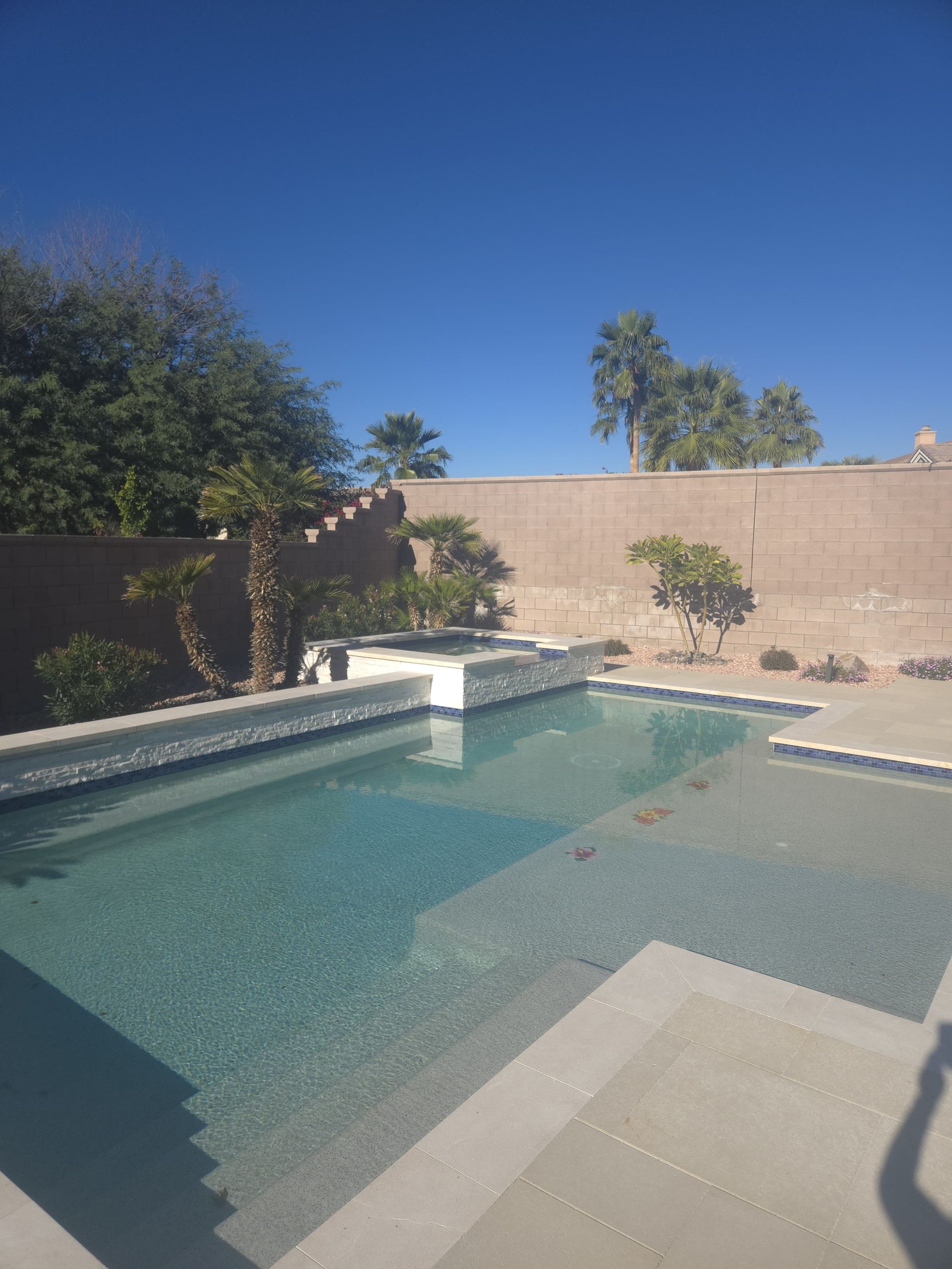 Swimming pool with a stone deck and low wall in a sunny outdoor setting.