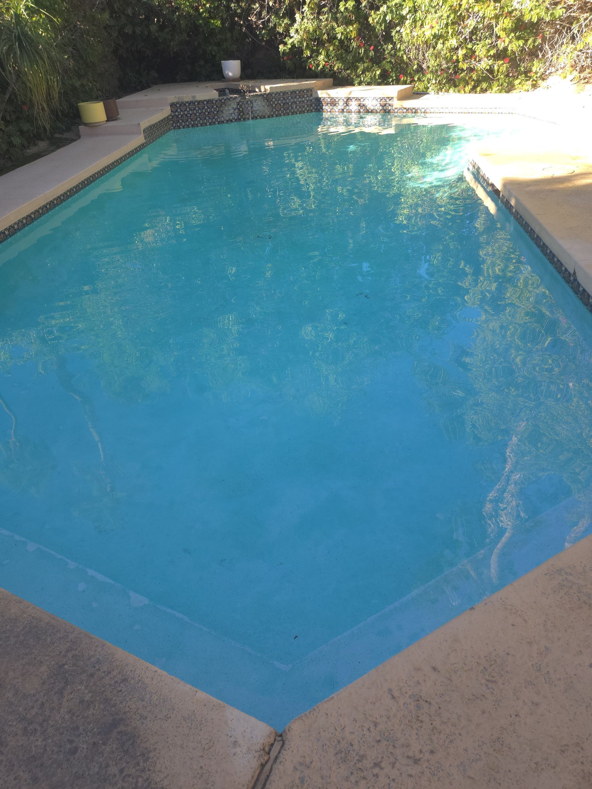 Blue swimming pool with light-colored concrete border, surrounded by greenery.
