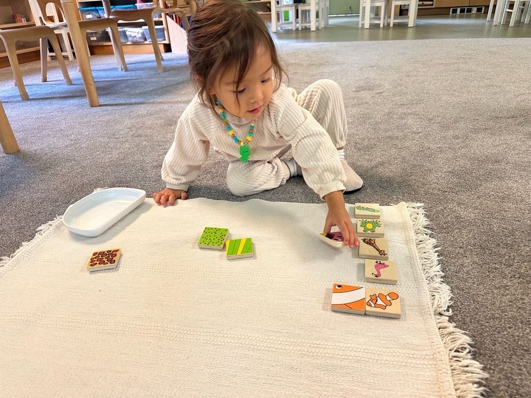 Toddler Program